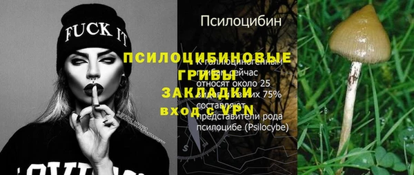 спиды Вяземский
