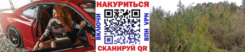 Конопля THC 21%  Ельня 